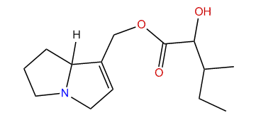 9-(2-Hydroxy-3-methylpentanoyl)-supinidine